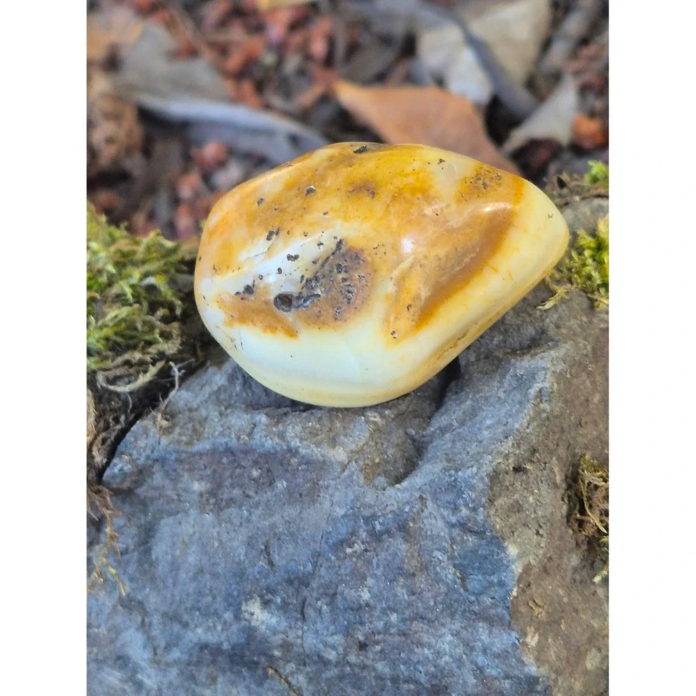 Handcrafted Rustic Olive Wood Oval Bowl w/ PNW Carnelian Agates & Yellow Jasper